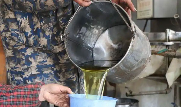 农村菜籽油