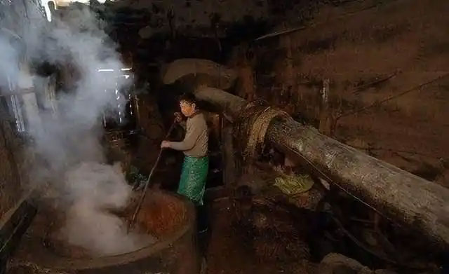 土榨菜籽油